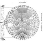 Leucosis : Movements to Breathe